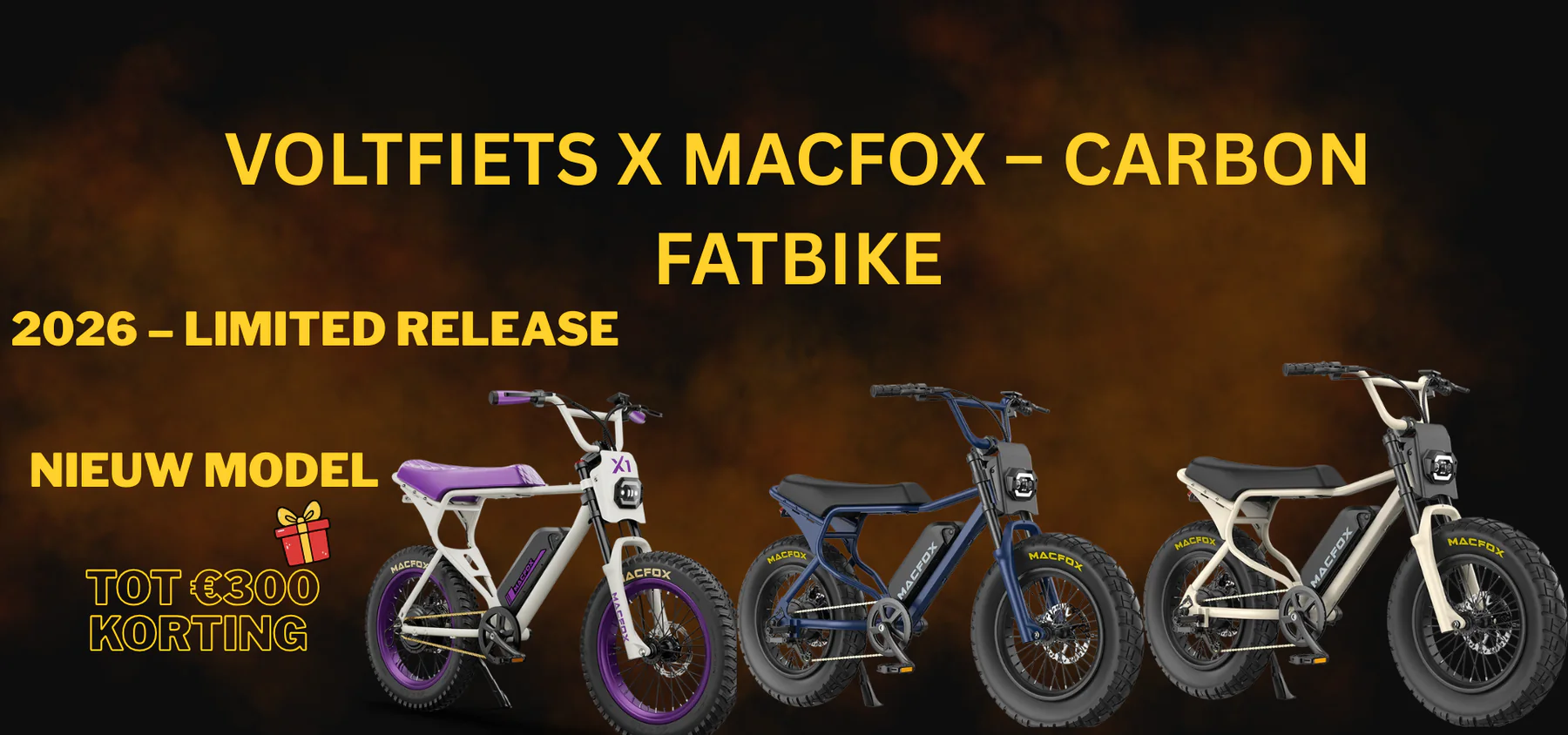 Jouw Ouxi Fatbike in Haarlem